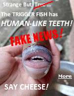 The pictures that have gone viral show a species of Trigger Fish, which has a strong resemblance to a human face, especially its mouth, teeth and lips.